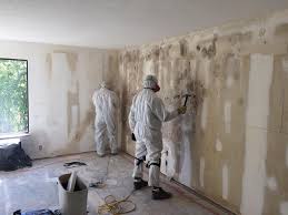 Best Industrial Mold Remediation in Red Wing, MN